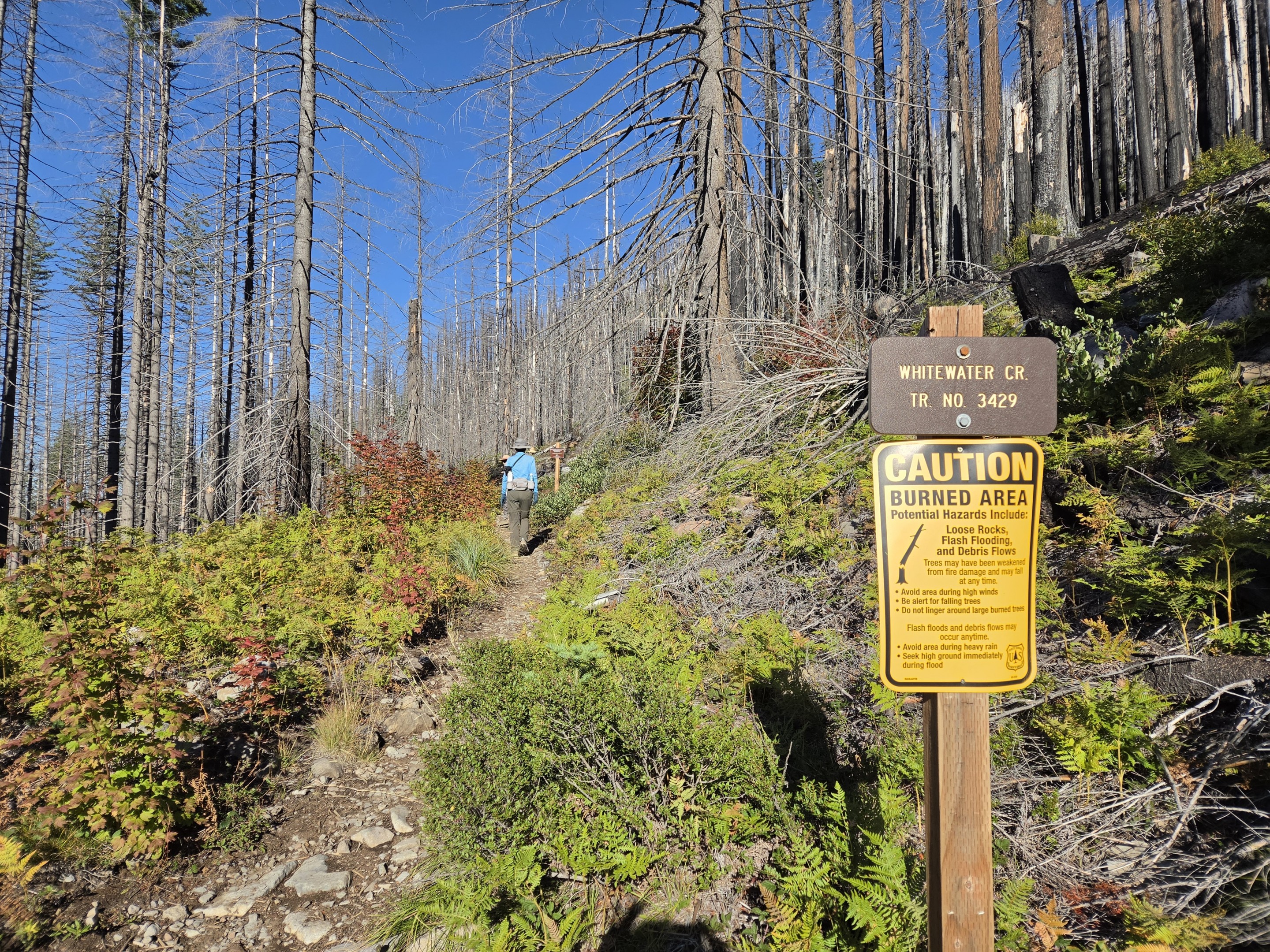 Jefferson Park Trailhead
